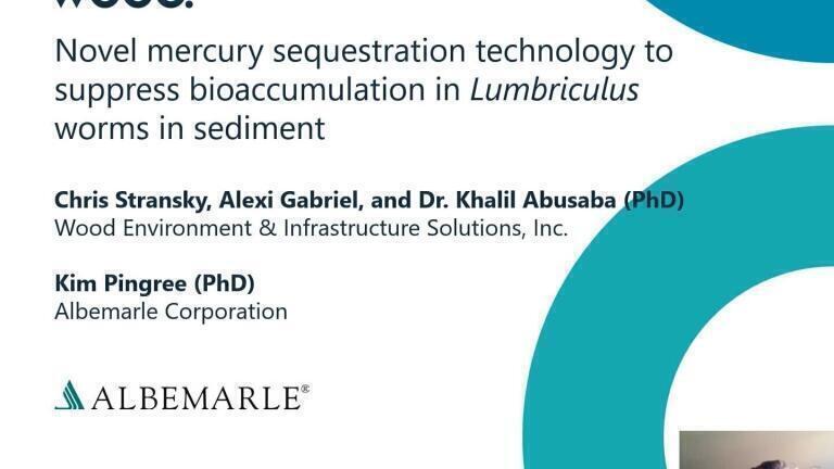 Novel Mercury Sequestration Technology to Suppress the Methylmercury and Bioaccumulation in Sediment